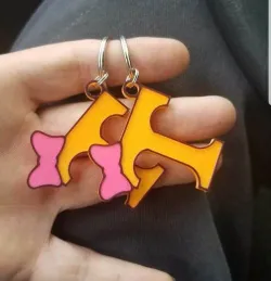 TN Keychain