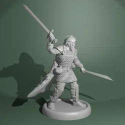 Viking fighter