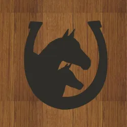 WALL DECORATION HORSE