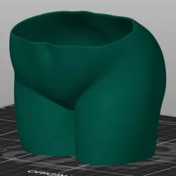 Woman's Butt Planter Pot