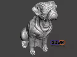 Boxer Statue (Dog Sculpture 3D Scan)