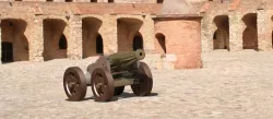 Cannon