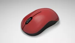 Computer Mouse