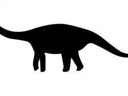 Sauropod