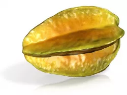 The Starfruit