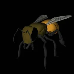 Bee