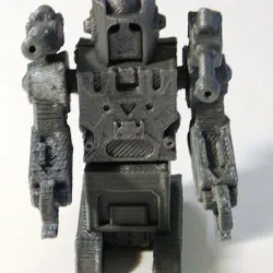 Decepticon Sentinel