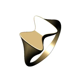 Geometric ring
