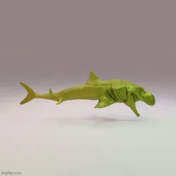 Hybrid Dino Shark Rex