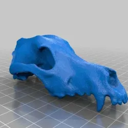 Lower Poly Dog Skull I'm Pretending is a Space Wolf Skull for Warhammer 40k