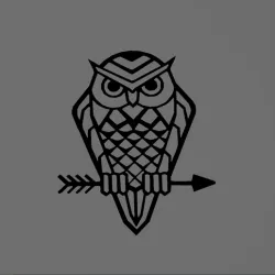 Owl - Owl - 2D