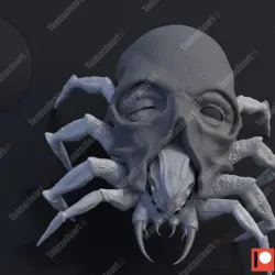 skull spider