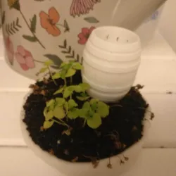 Small Rain Barrel