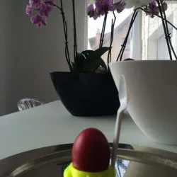 "TWEETY" EGG HOLDER