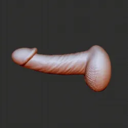 2in1 Penis and Vagina