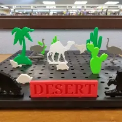 6th Grade Biome Project
