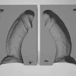 big dildo mold cast