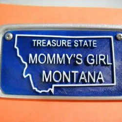 bycycle or trycycle License plates and frame and bracket