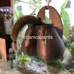 Cactus Planter