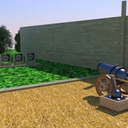 Canon target shooting game