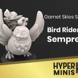 Chibi Bird Rider Sempre