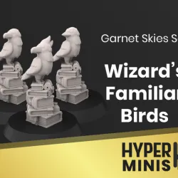 Chibi Wizard's Familiar Birds