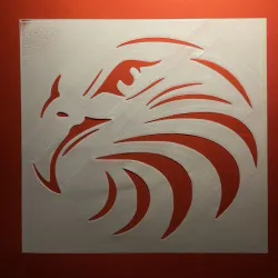 DIY T-shirt painting (Eagle)