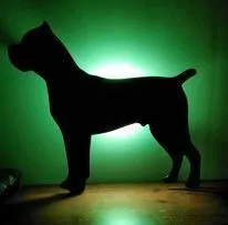 dog wall lamp