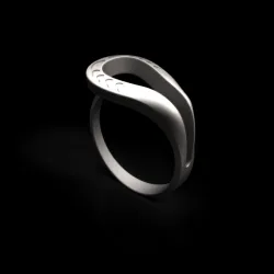 frame drops ring