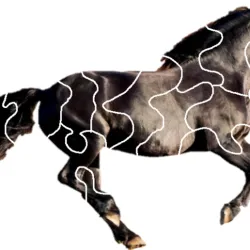 Galloping horse