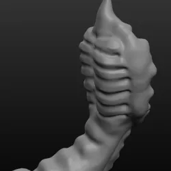 Gilled tentacle