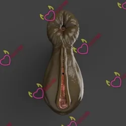 horse male masturbator