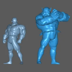 jiren and toppo