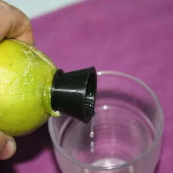 Lemon press (Bistouquette)