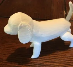 Puppy Model