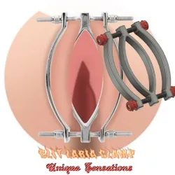 Pussy Labia Trap Vaginal Female Dilator Expander clitoris LIPS clamp v-02 3d print cnc