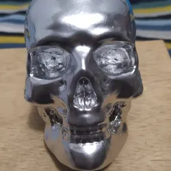 Skull, Skull