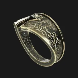 SPARTAN RING