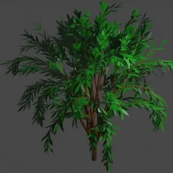 tree3