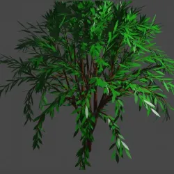 tree4