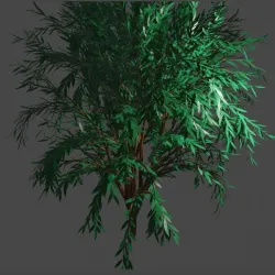 tree5