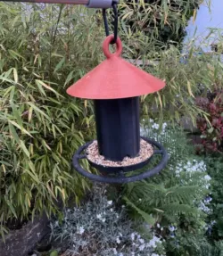 Bird feeder