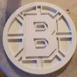 Boston Bruins Logo