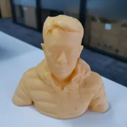 Bust toy（generated by Revopoint POP）