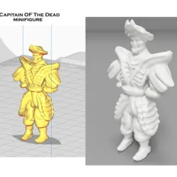 Captain of Dead