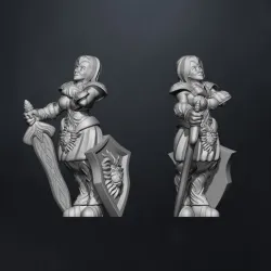 female human paladin paladín humano femenino