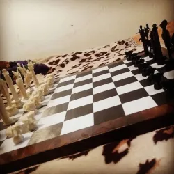 Harry Potter magic chess set