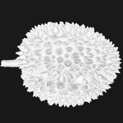 Livestream Durian（generated by Revopoint POP）