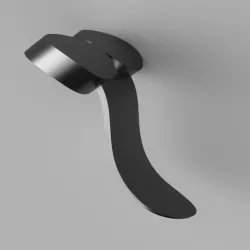 Penis-shaped shoehorn