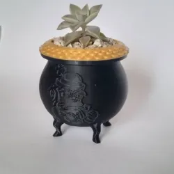 pot of gold plantspot